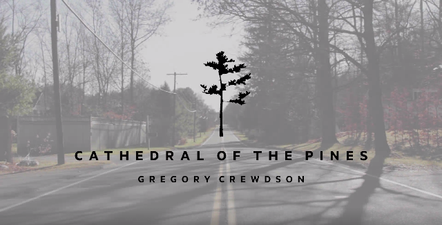 Watch Cathedral of the Pines, Gregory Crewdson — The New Yorker