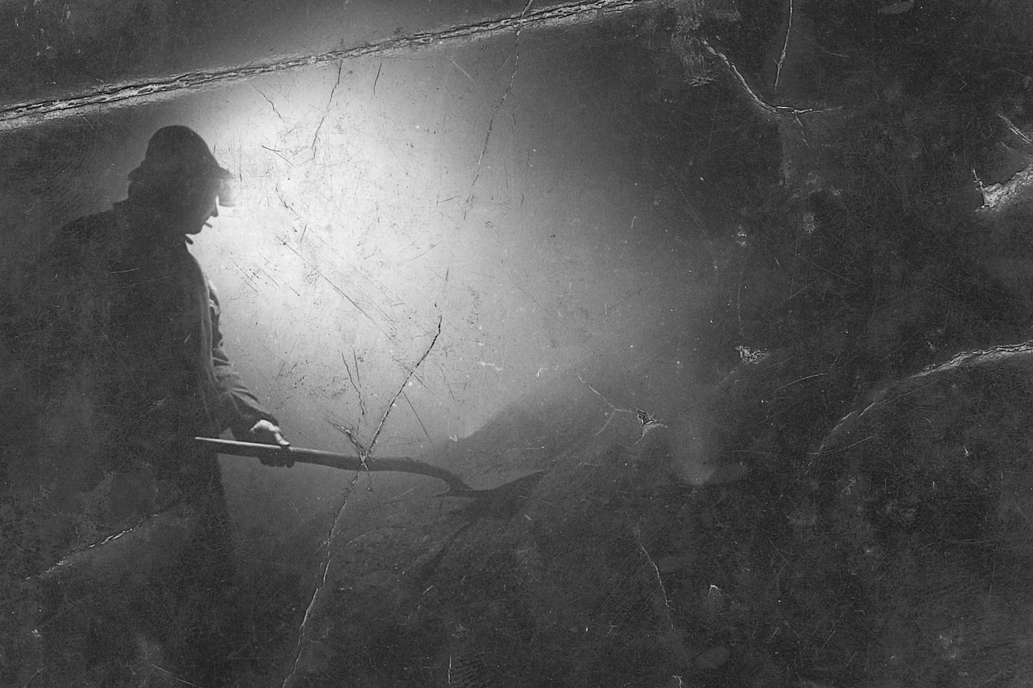 'Vorest' by Phillipa Klaiber