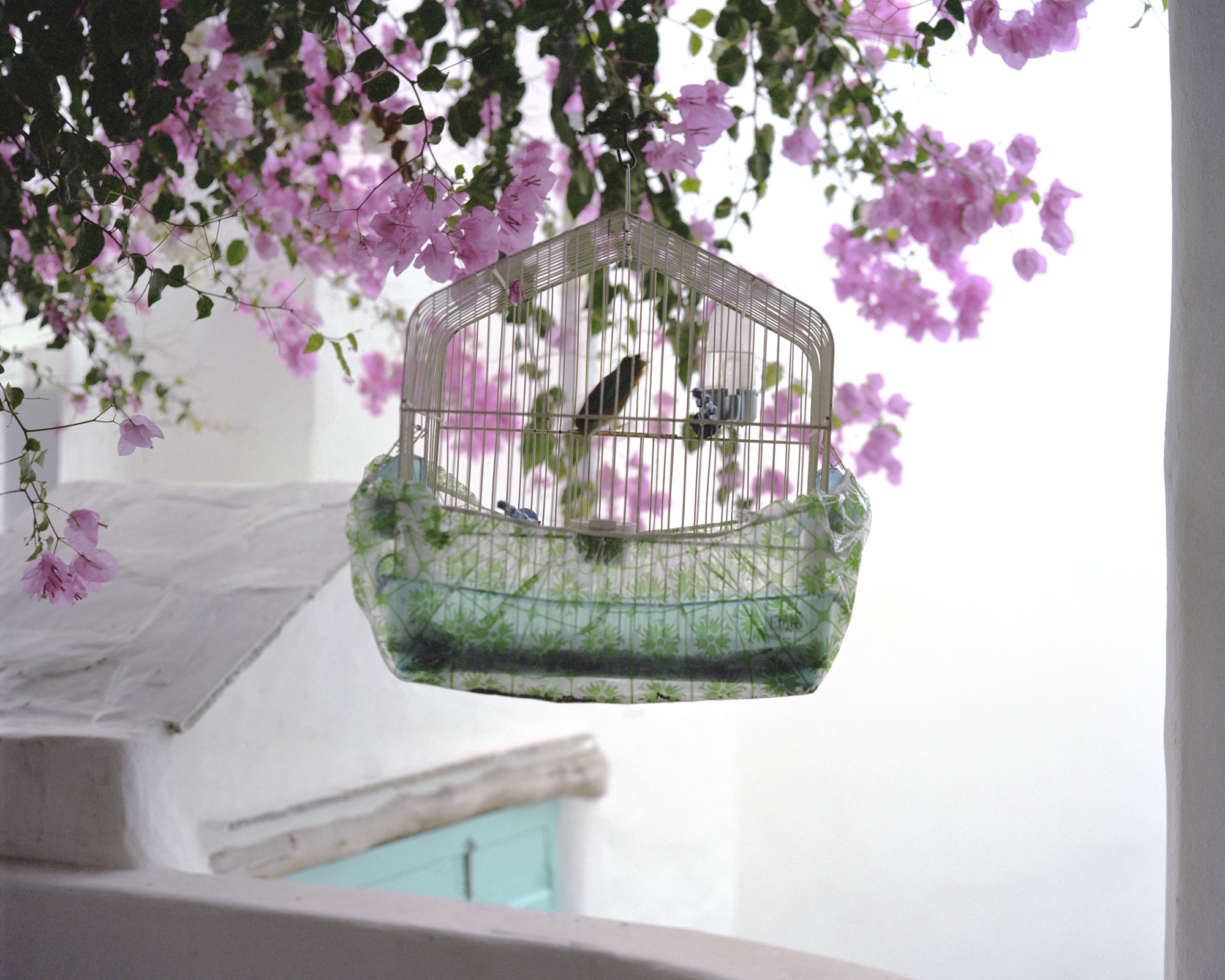 The poetic Soul of an Island in ‘Les Rochers Fauves’ by Clément Chapillon