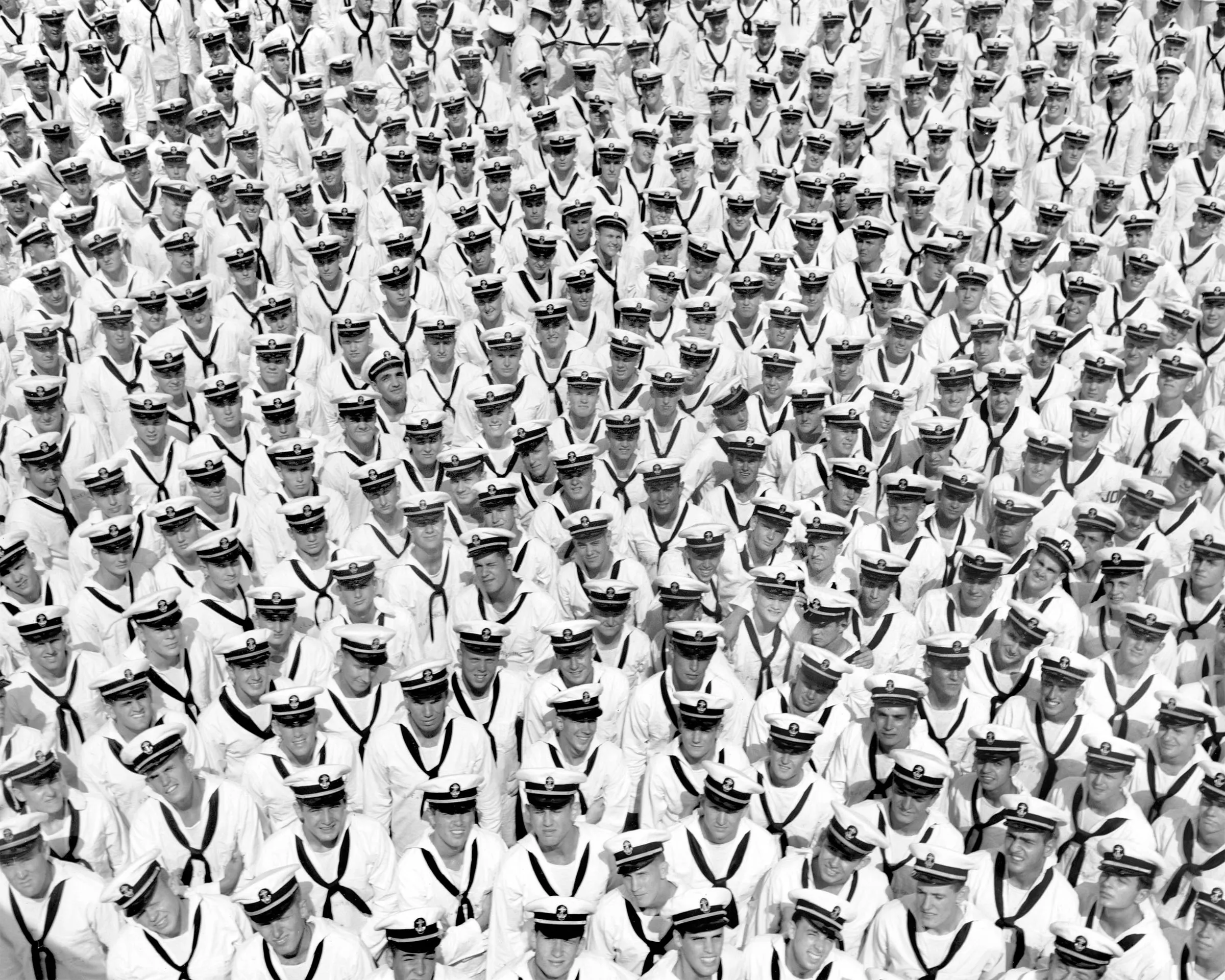 'Between Gods and Animals' by Shawn Bush