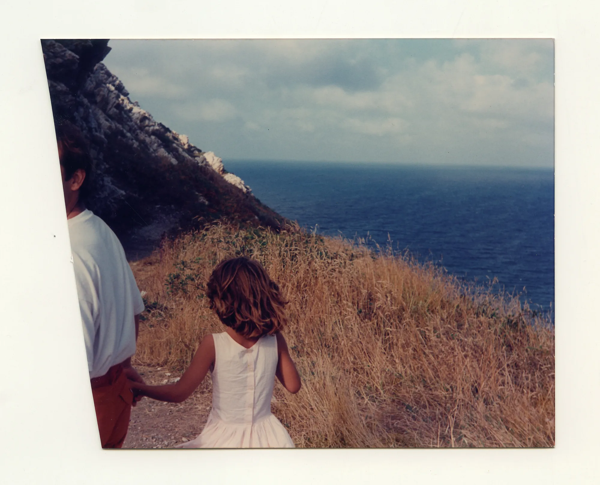 'Anatomy Of An Oyster' by Rita Puig–Serra