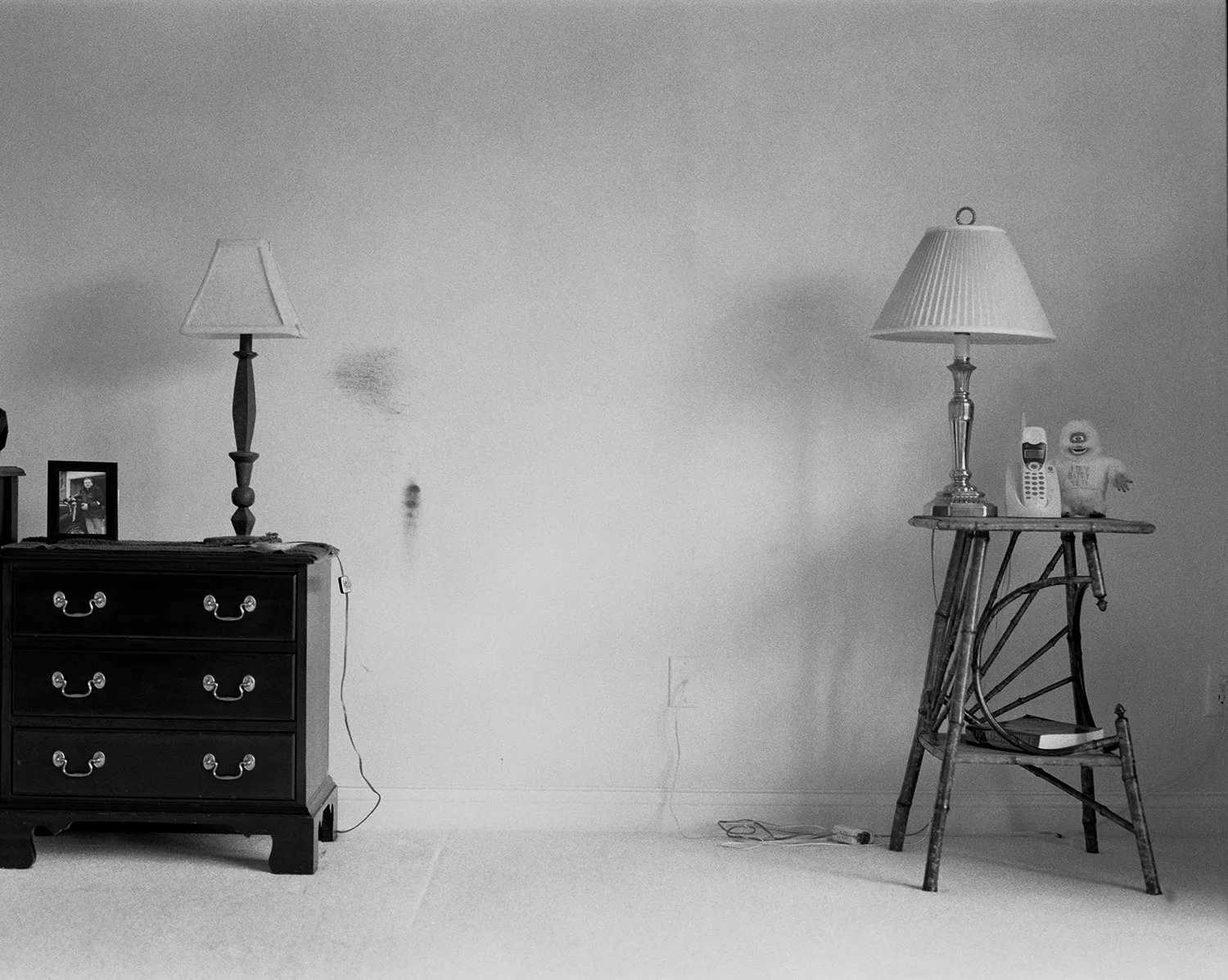 'The Model Family' by Tealia Ellis Ritter