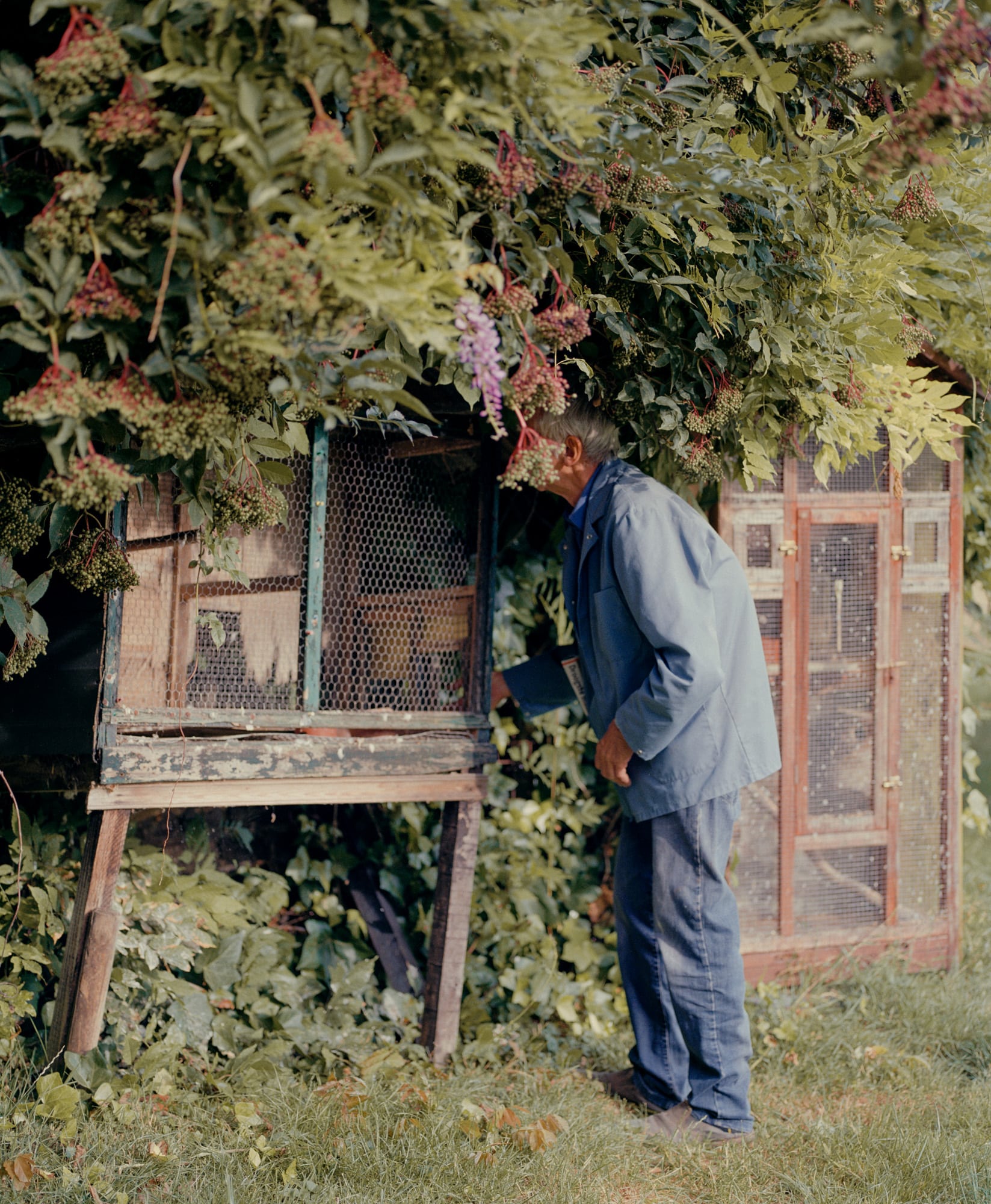 'The Art of Living Twice' by Simen Lambrecht